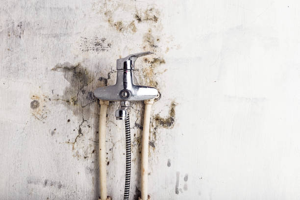 Daniels Farm, CT Mold Removal Company