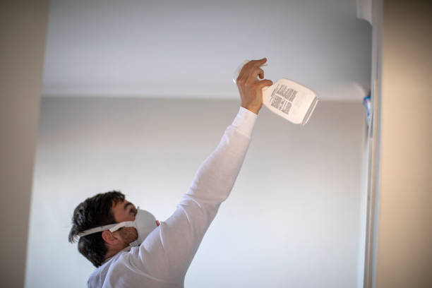 Best Residential Mold Removal  in Daniels Farm, CT