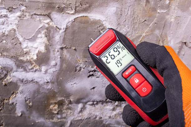 Water Damage Restoration in Daniels Farm, CT