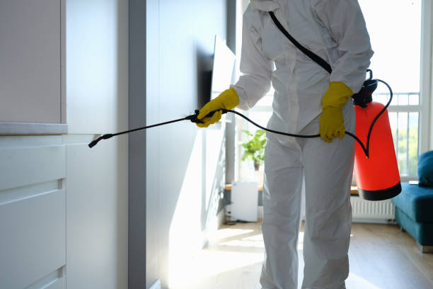 Best Office Mold Removal Services  in Daniels Farm, CT