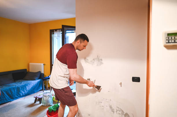Best Black Mold Removal  in Daniels Farm, CT